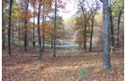 Tract 6 - Pond - OKLAHOMA LAND & REAL ESTATE AUCTION, 438 +/- Acres offered in 13 Tracts